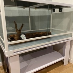 パンテオン9045 ゲージ　爬虫類　小動物の画像