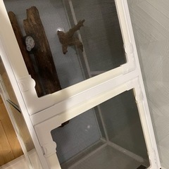 パンテオン9045 ゲージ　爬虫類　小動物の画像