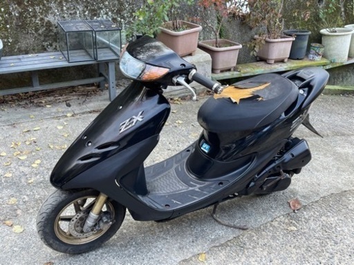 ホンダ　ライブディオ　ZX