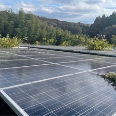 太陽光発電所内の枝、樹木の剪定作業の画像