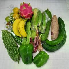 11/12（土）の激安野菜市を開催させて頂きます！