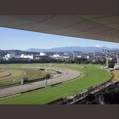 10/13(日) 東京競馬場にて