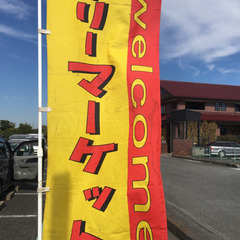 フリマに出店、メダカ、金魚、タナゴ販売します😄