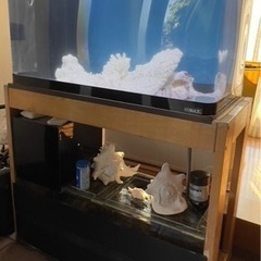 海水水槽