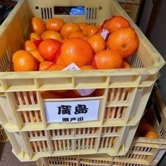 瀬戸内からの贈り物！