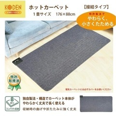 新品 未開封 1畳用☆KODEN 広電　VWU1013 電気カーペットの画像
