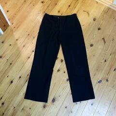 男子学生服【標準型】下76冬