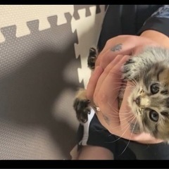 一旦募集締め切ります！