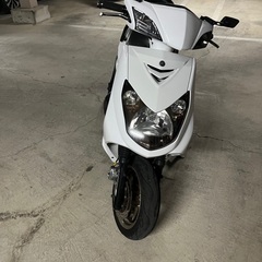 シグナス2型特価