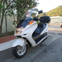 ヤマハ　マジェスティ250　実働中古車　ロングシールド　大型リア...
