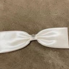 アロヒナモエ　ウェディングドレス　プリンセスラインの画像