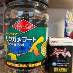 リクガメフード＆カルシウム＆水場など