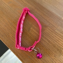 小型犬の首輪の画像