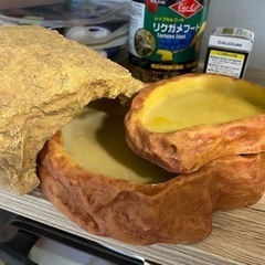 リクガメフード＆カルシウム＆水場などの画像
