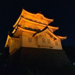 １１月１９日（土）日本一の花手水行田市希望の光ライトアップイベン...