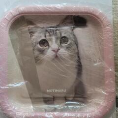 (新品)もちまる 紙皿[スクエア5枚入]①