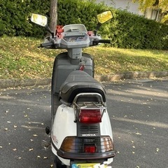 ホンダ リード80ss の画像