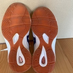 体育館シューズ　24cmの画像