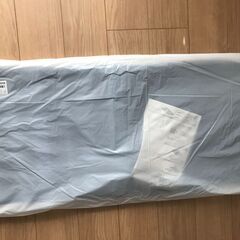 トゥルースリーパー 　ごろ寝マット　 (ミニトゥルースリーパー)...