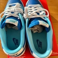 NIKE DUNK LOW QS Argon 28.5cm 2022モデル 新品未使用品の画像