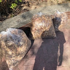 落ち葉たくさん　焚き火とか、堆肥つくったりとか、、