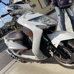 シグナスX