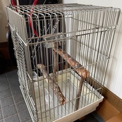 大型インコ、オウム用鳥篭