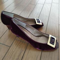 新品　Pittiのパンプスの画像