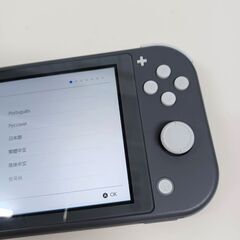 Nintendo Switch Lite/HDH-001/未使用保護シールセット！の画像