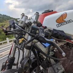 NS250R