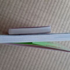 二ノ宮知子/平成よっぱらい研究所 完全版(文庫版)の画像