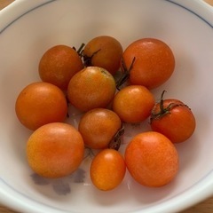 ミニトマト