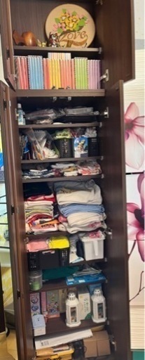 鏡ばりの後付け収納クローゼット⭐︎ディノス（茶色）