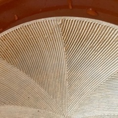 すり鉢の画像