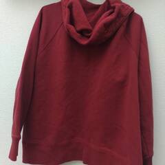 【値下げ】リーバイス　パーカー　メンズＭの画像