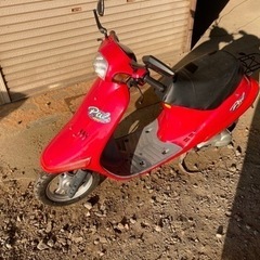 HONDA PAL