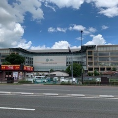 11/13福島競馬場に遊びに行きませんか？