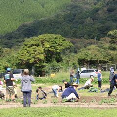 体験交流農園｢井田の里｣ 　2023年3月からの 利用希望者募集中！　サポート付で初心者でも安心　ファミリー農園ゾーン 25区画の画像