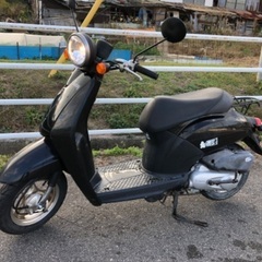 【ホンダ 】☆トゥデイ☆ 50cc 4サイクル 　スクーター　バ...