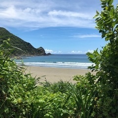 週末サーフィン行きましょう！