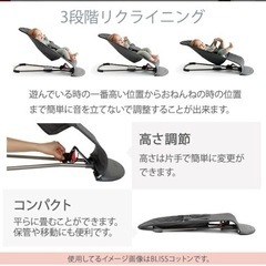 【極美品】ベビービョルン バウンサー ブリスエアー アンスラサイトレパードの画像