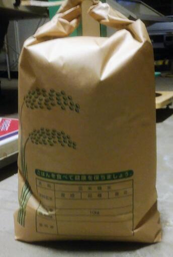 令和4年度産きぬむすめ玄米10kg
