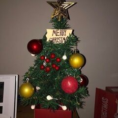 クリスマスツリー 500円　高さ60～70cm