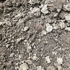 庭　残土　DIY　ガーデニング　土　砂　粘土質の土がメインとなります。