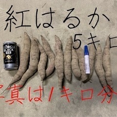 さつまいも　紅はるか　小さい芋　細い芋　5キロ　農家直送