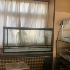 爬虫類大型飼育ケージ