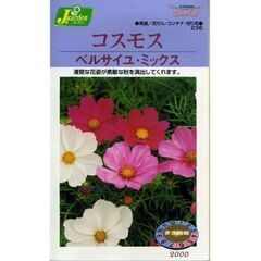 カネコ種苗 コスモス ２２袋セットの画像