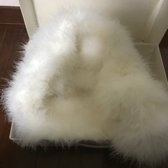 ショール　成人式