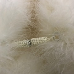 ショール　成人式の画像