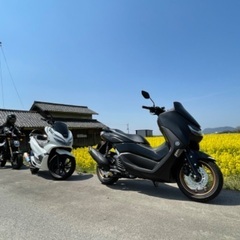 pcx nmax限定ツーリング仲間募集。